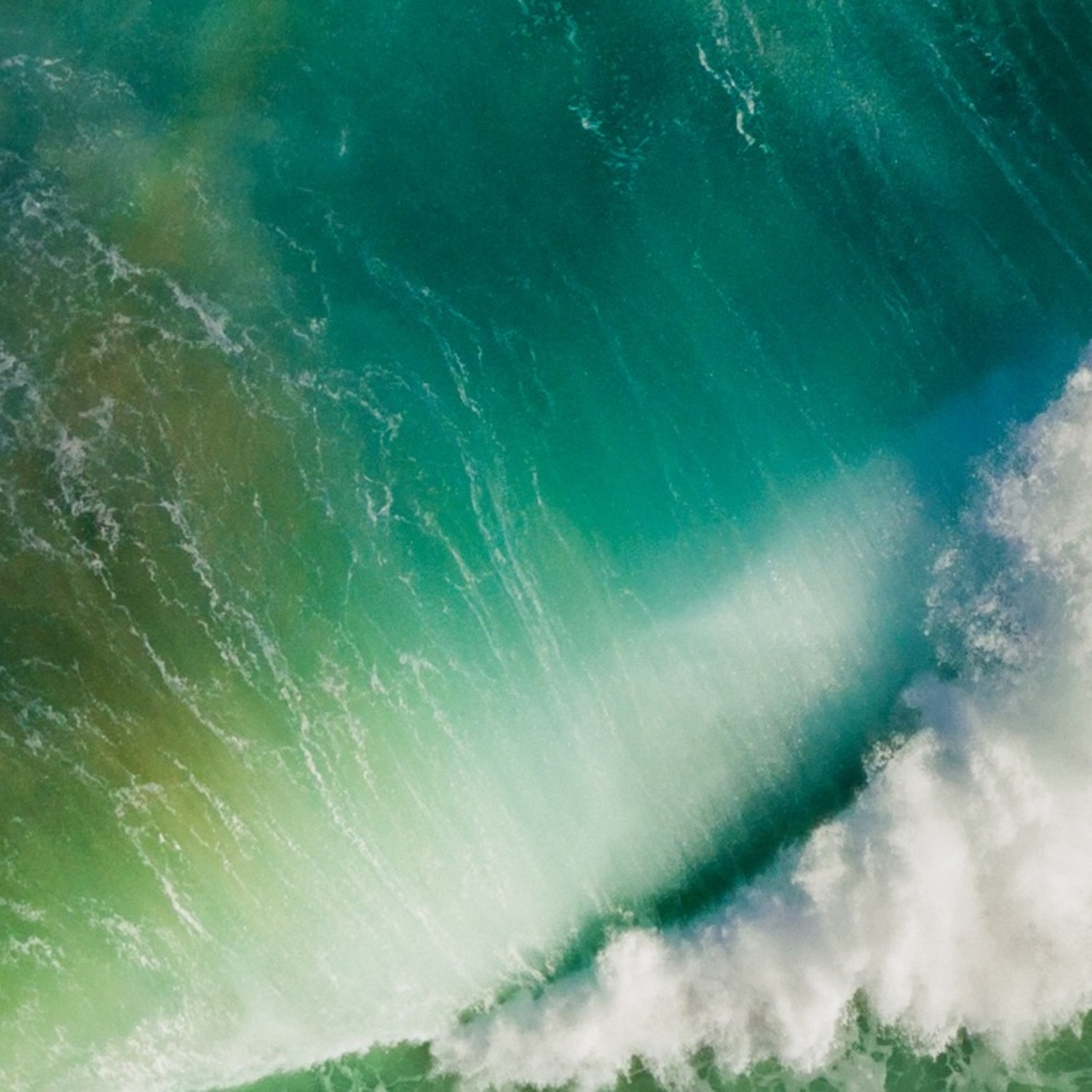 Meet your Posher, Camryn